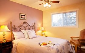 Wild Rose Bed & Breakfast